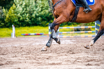 Detail of horse during horse showjumping competition. Close up photo of horse accesories, saddle,...
