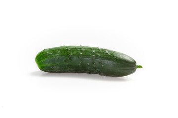 Concombre Noa
