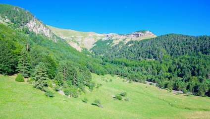 Beautiful view of the forests of Avi, Aisa, Huesca Spain. Summer sports activity. Panoramic scene of nature in the Pyrenees