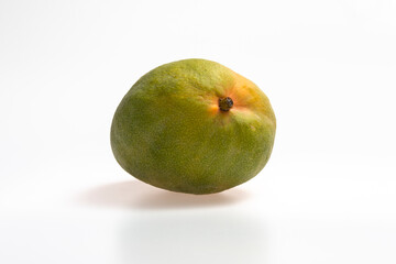 Mangue
