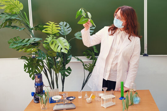 Woman biologist in medical mask with green plant in hand. Problem education in the school during a pandemic coronavirus