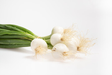 Botte d'oignons nouveaux