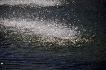 Splashes of water on the background of the gray surface of the fountain. Natural background.