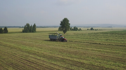 Fototapeta premium Aerial view Combine harvester and trucks working in field, harvesting feed crop. Combine mechanically collects fresh crop and loads it on conveyor belt into trailer. Modern Technologies in Agriculture