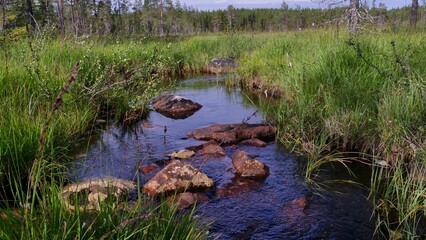 Fototapeta na wymiar river in the North of Sweden