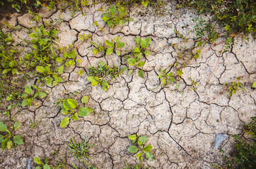 cracked soil background