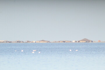 djerba