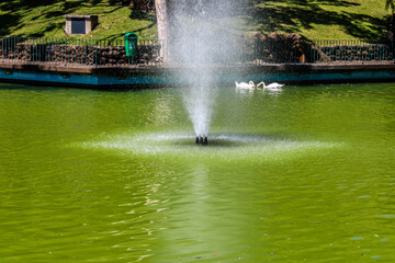 Una fuente de agua dulce 
