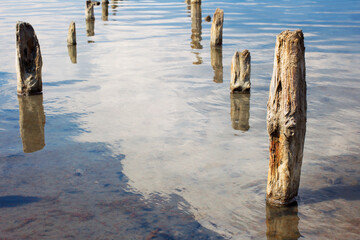 Fototapeta na wymiar The old wooden pillars in the water salty Dead Sea