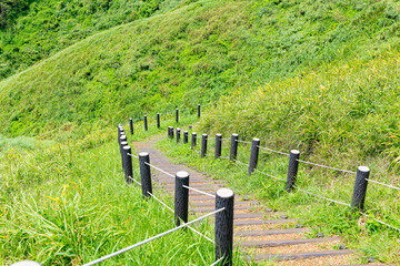 静岡県賀茂郡南伊豆町　ユウスゲ公園
