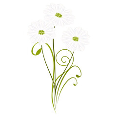 A bouquet of chamomiles, element of design.