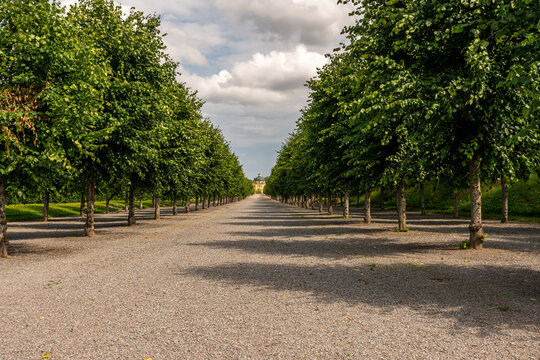 Beautiful summer perspective view of many trees in a long avenue with a wide footpath at Drottningholm in Sweden.