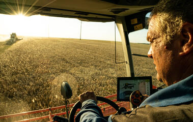 the machine operator at the helm of a modern combine harvester harvests grain