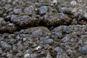 closeup crack asphalt road texture