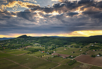 View on nice vineyards at lake Balaton