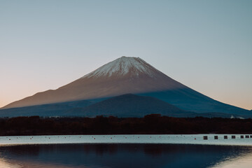 Fototapeta premium 日本の富士山