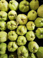 Guava fruit placed on a tray