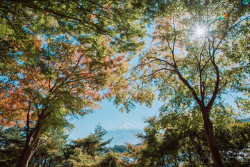 日本の富士山