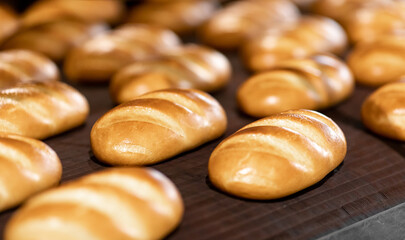 Fresh hot baked breads on automated production line bakery. Manufacture industrial