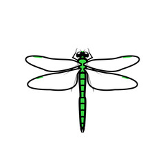 Dragonfly logo symbol icon sign, green color. An illustration of a dragonfly, isolated, green colored, with simple transparent wings, outlined.