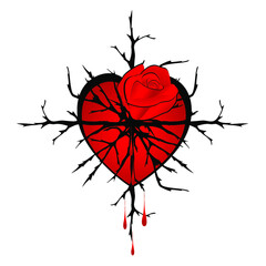Red rose with thorns heart and drops of blood.
