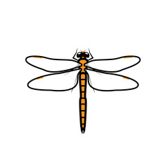Dragonfly logo symbol icon sign, orange color. An illustration of a dragonfly, isolated, orange colored, with simple transparent wings, outlined.