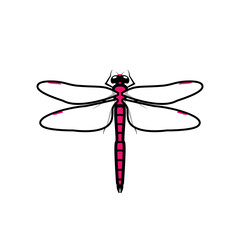 Dragonfly logo symbol icon sign, pink color. An illustration of a dragonfly, isolated, pink colored, with simple transparent wings, outlined.