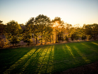 Drone view on sun rays falling through trees