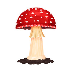 Mushroom with Cap and Stem as Forest Element Vector Illustration