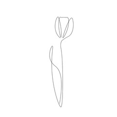 Flower on white background. Vector illustration
