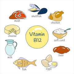 Vector set of hand drawn foods highest in Vitamin B12