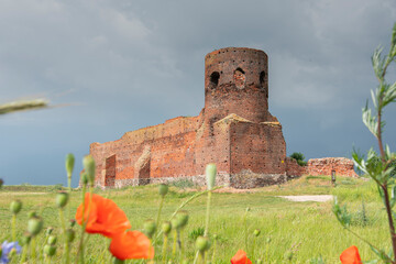 Castle ruins in Kolo