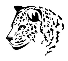 beautiful leopard head portrait - wild cat black and white vector outline design