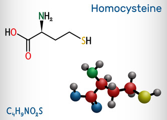 Homocysteine biomarker molecule. It is a sulfur-containing non-proteinogenic amino acid. Structural chemical formula and molecule model