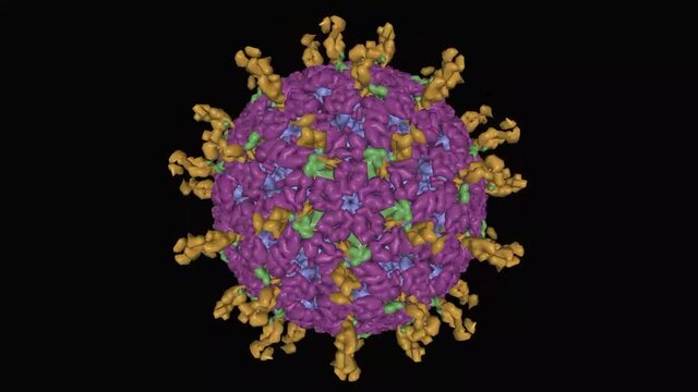 Atomic model of an infectious rotavirus particle, animated 3D Gaussian surface model, black background