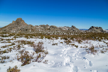 Winter landscape with snow