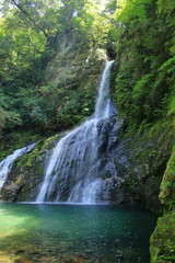 高知県の滝　飛龍の滝　夏（高知県　安居渓谷）