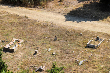 Old and neglected cemeteries on an empty land