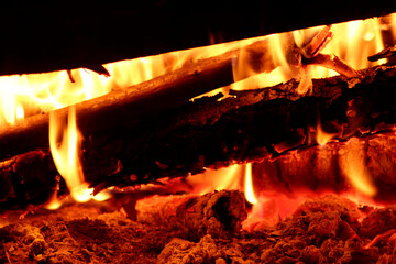 Fototapeta premium Camp fire in the night.