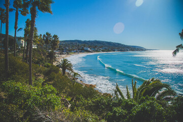 vegetation and plat life in laguna beach in southern california Heisler Park © Tamara Sales 
