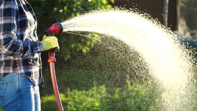 Young woman watering plants in her garden with garden hose. Hobby concept