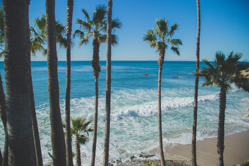 Laguna beach park and beach views from the cliff palm trees of southern california 