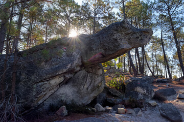 Turtle rock in the Trois Pignons massif. Fontainebleau forest