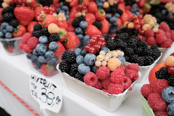 travel in Czech Republic Prague