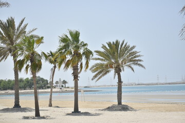 Fototapeta na wymiar After driving for about 90 minutes from Abu Dhabi city along E11, the arterial highway, you can reach Al Mirfa Beach.