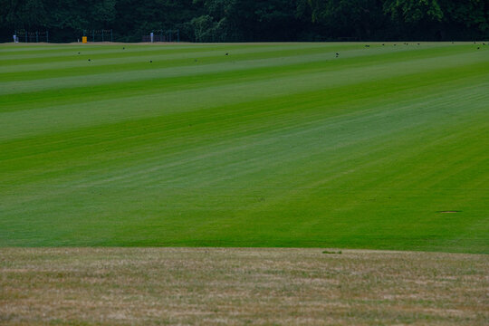 Cowdray Estate polo fields at Midhurst, West Sussex