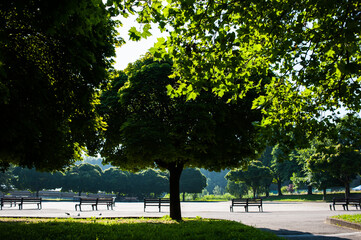 City park with paths and trees