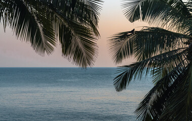Fototapeta na wymiar Beautiful Landscape during sunset comprising Palm Trees and the colorful sunset sky with visible horizon and the calm Arabian sea. Looks like a view from the isolated island or from sea view apartment