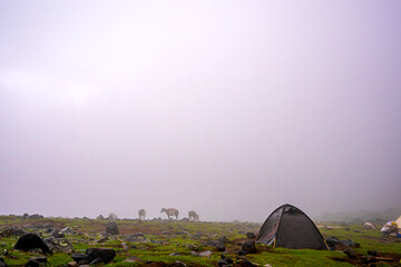 ase camp at  Ararat Mountain, approximate elevation  of 3300 meters with green pasture and rocks ...