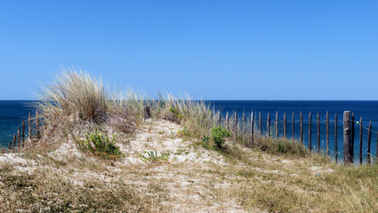 Fototapeta na wymiar Sand dunes of Pen-Bron beach in Loire- Atlantique coast